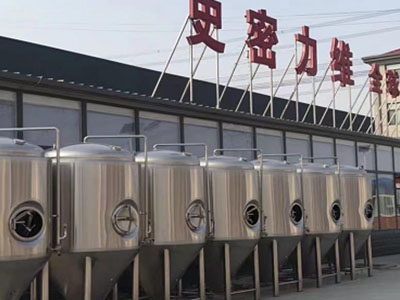 台前精酿啤酒设备厂—市场规模与跨界新需求
